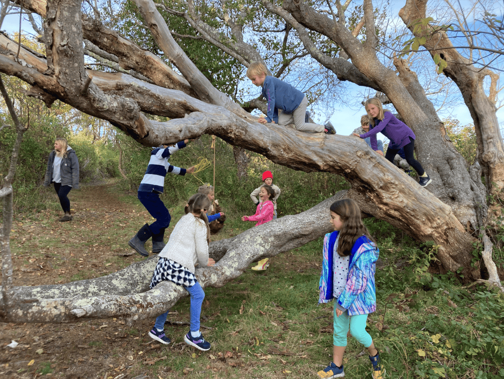 After-School Programs