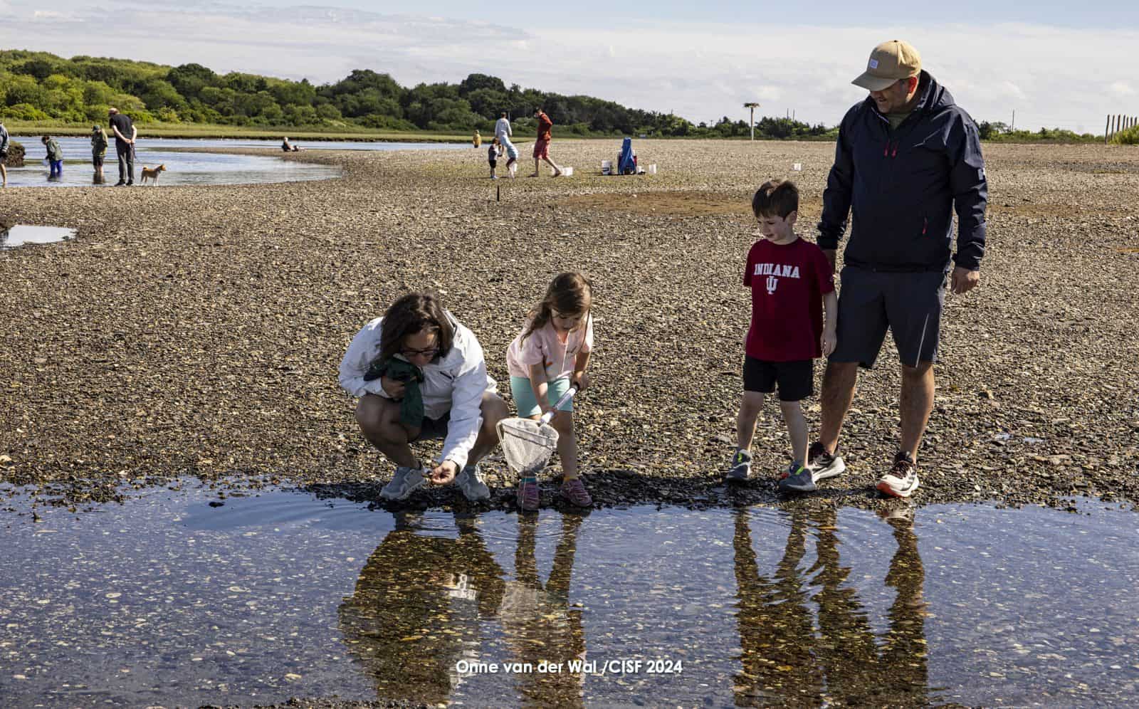 A family netting together at the edge of a marsh pool at Fort Getty