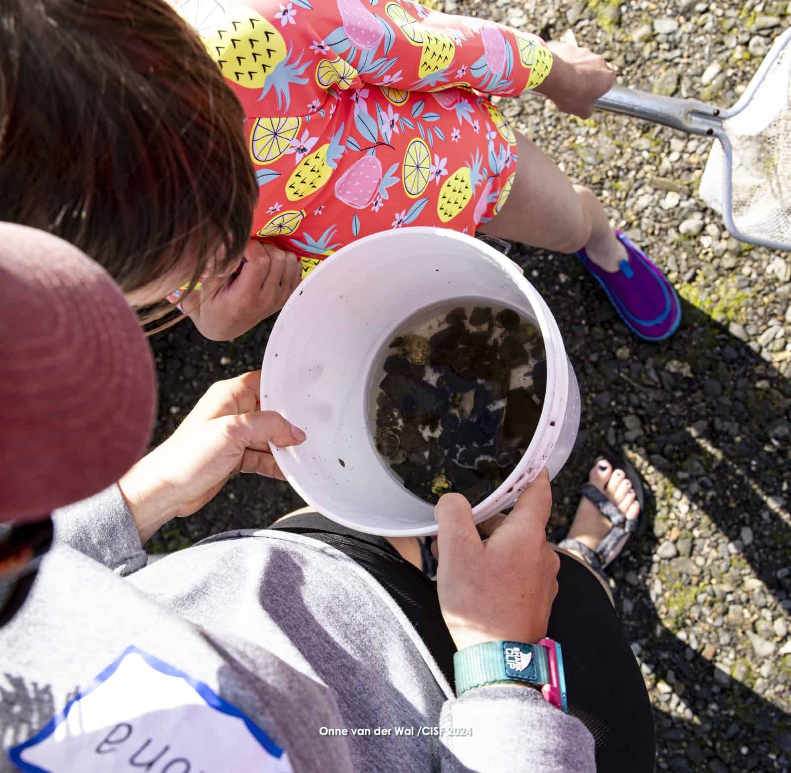 A name-tagged volunteer showing a girl a bucket of green crabs