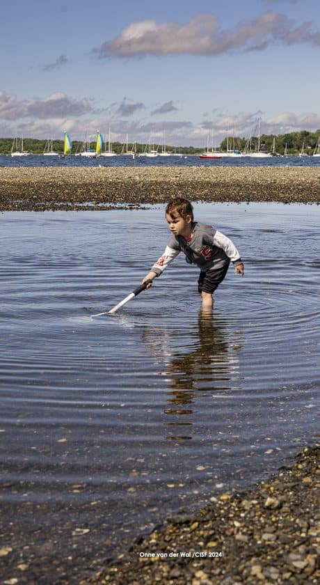 A boy sweeping a dip net through a marsh pool, sailboats on the water behind him