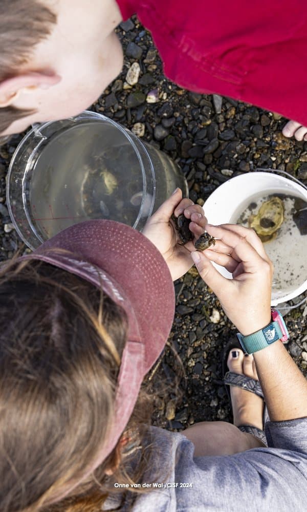 An instructor showing a young camper a green crab over a specimen bucket